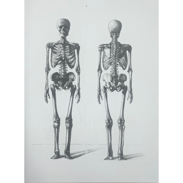 Paper Anatomy for the Artist by Jeno Barcsay 1995 Hardcover Drawing Book For Sale - Image 7 of 13