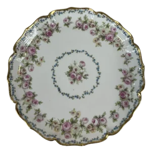 Antique GDA France Chas Field Haviland W Porcelain Plate
