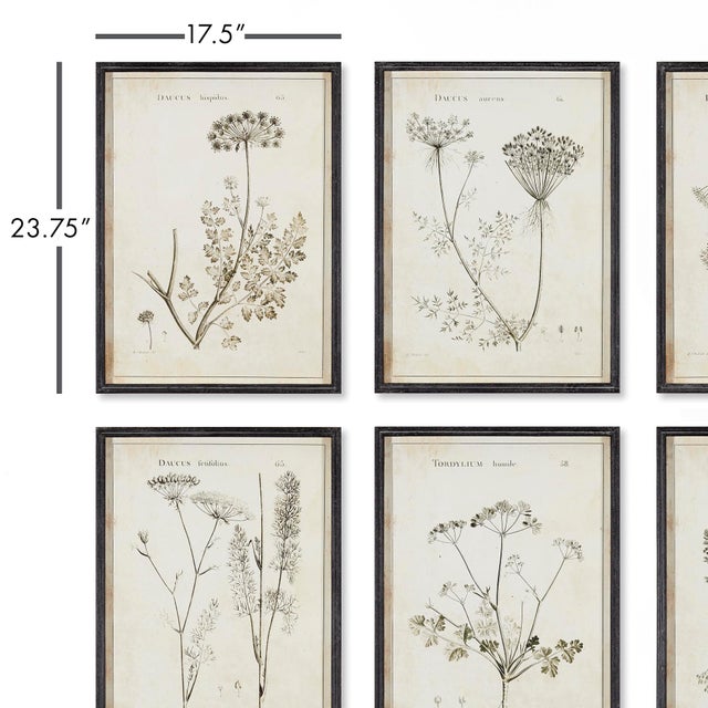 All the charm & detail of these wildflowers is illustrated in shades of gray, black &White. Paired with a crisp black...