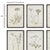 All the charm & detail of these wildflowers is illustrated in shades of gray, black &White. Paired with a crisp black...