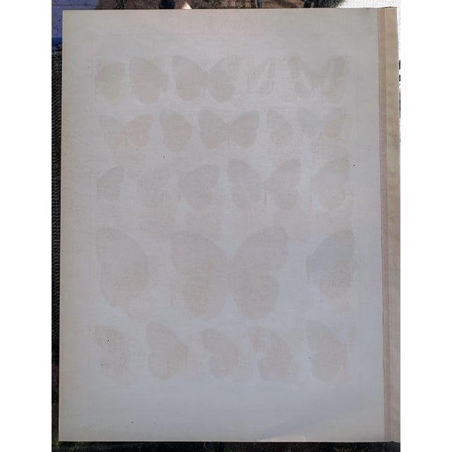Illustration Antique Adalbert Seitz Butterfly Chromolithograph, Acrophthalma–Lethe, 1909–1915 For Sale - Image 3 of 5