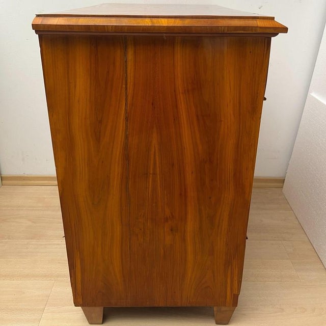 Wood Biedermeier Ebonized Chest of Drawers in Cherry Veneer, South Germany, 1830 For Sale - Image 7 of 18
