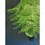 Contemporary Italian Green Felci Murano Glass Chandelier in Green by Simoeng for Simoeng For Sale - Image 3 of 5