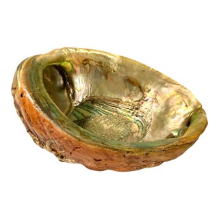 Vintage Mid-Century Footed Abalone Iridescent Shell Bowl For Sale