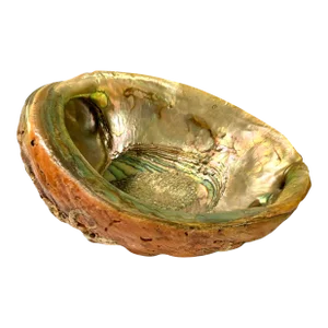 Vintage Mid-Century Footed Abalone Iridescent Shell Bowl