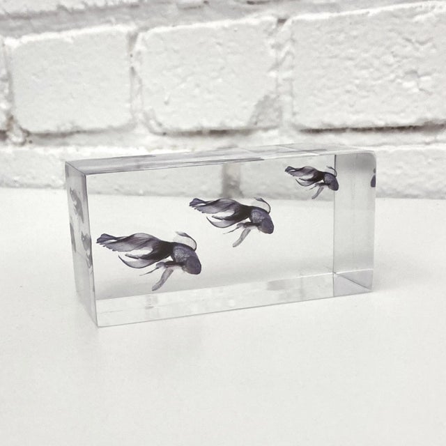 2020s DWM | MALOOS Lucite Blue Fish Decorative Paper Weight, Made in the Usa For Sale - Image 5 of 7