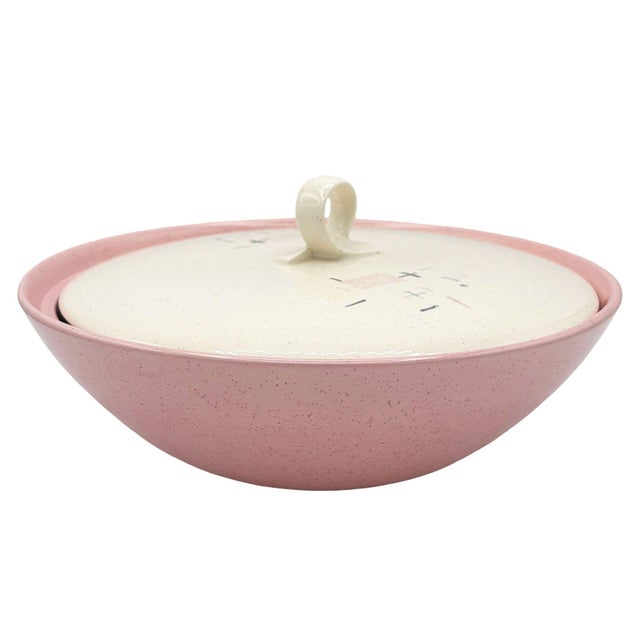 1950s "Tickled Pink" Serverware Dinner Plate Platter Bowl Set by Vernonware - 110 Piece For Sale - Image 10 of 18