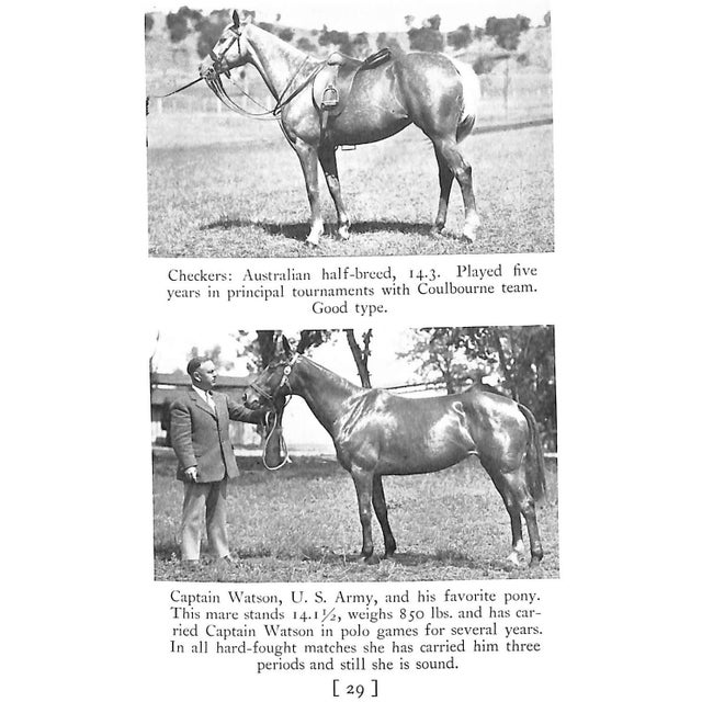 "Selection and Training of the Polo Pony" 1934 Cullum, Grove For Sale - Image 10 of 12