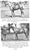 "Selection and Training of the Polo Pony" 1934 Cullum, Grove For Sale - Image 10 of 12
