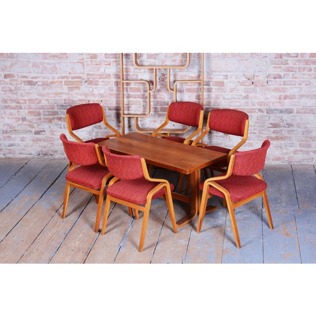 Mid-Century Czech Chairs in Maple attributed to Ludvik Volak for Drevopodnik Holesov, 1960s, Set of 6 For Sale - Image 14 of 18