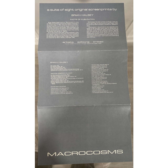 Paper Brian Halsey Macron Serigraph 4/75 State I/Ii Signed & Framed For Sale - Image 7 of 10