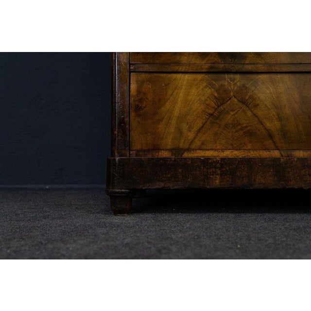 Biedermeier Pine Showcase Bookcase For Sale - Image 13 of 14