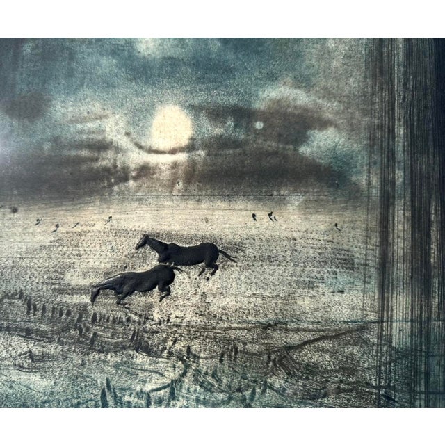 "Monsoon" by Kaiko Moti Signed Limited Edition #73/120 Aquatint Etching Framed For Sale - Image 9 of 12