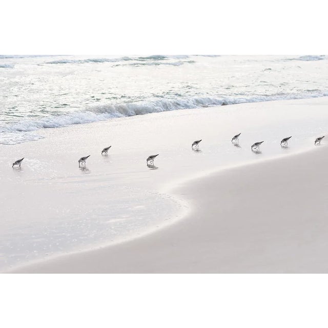 Contemporary Minimalist Coastal Art Print, 45 X 30" Fine Art Photograph, 'Sanderlings' Sandpiper Print, Neutral Beach Wall Art For Sale