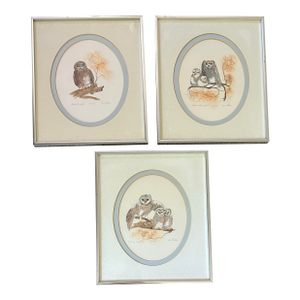 Vintage 1970’s Set of Three (3) Framed Owl Lithographs