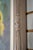 Pair of Oil on Canvas of Still Life Sunflowers - Signed For Sale - Image 12 of 17
