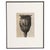 Karl Blossfeldt, Natural Grace, 1942, Photogravure, Framed For Sale - Image 13 of 13