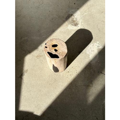 Side Table in White Petrified Wood with Black Spots For Sale - Image 16 of 18