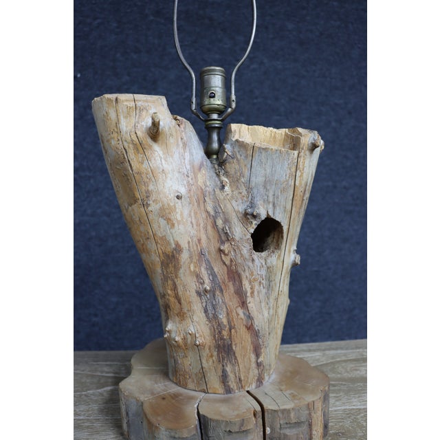 Natural Driftwood Table Lamp With Woodpecker Hole For Sale In Philadelphia - Image 6 of 12