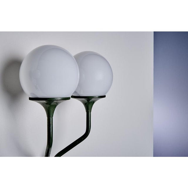 Wall Sconce with Two Globes by Goffredo Reggiani for Lampadari Reggiani, 1960s For Sale - Image 12 of 15