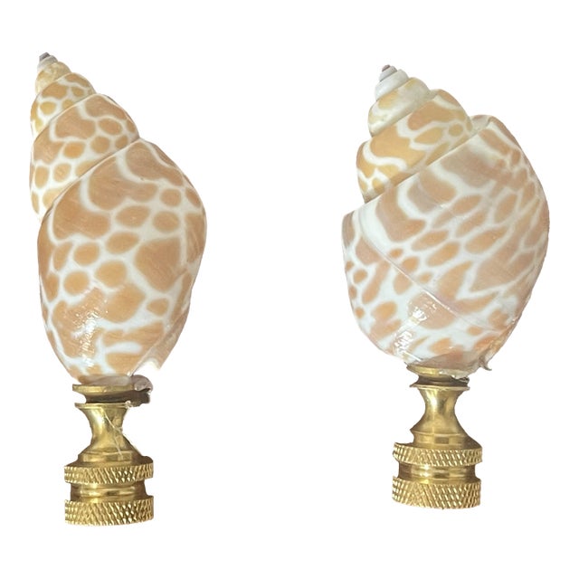 1970s Coastal Turbo Sea Shells Lamp Finials Pair For Sale