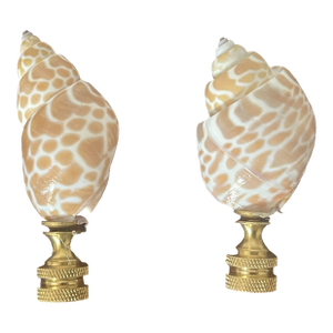 1970s Turbo Sea Shells Lamp Finials - a Pair