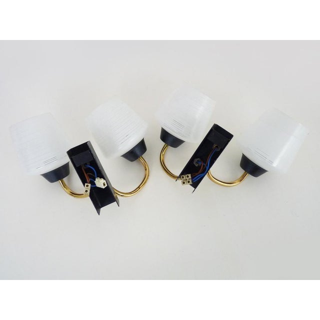 Metal Vntage Brass Wall Lights with Glass Globe from Maison Arlus, 1950s For Sale - Image 7 of 8