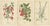 Globe Fuchsia and Fuchsia Fulgens and Gaura Lindheimeri, 1897, Paper, Set of 3 For Sale