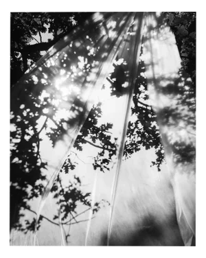 Ugne Pouwell, Daydream, 2022, Photography