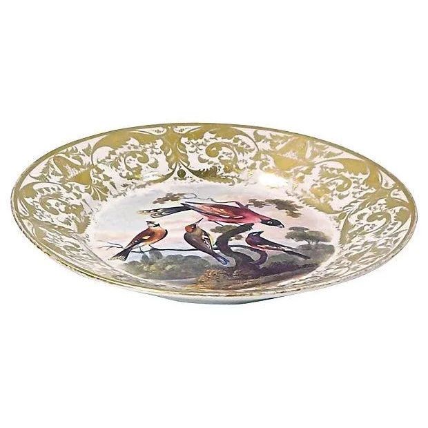 Antique; 19th century, English, porcelain, Royal Derby, hand-painted and gilded plate with birds on a tree in a garden,...
