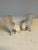 Late 19th Century Late 19th Century Pair of Staffordshire Pottery Poodle Dog Figures For Sale - Image 5 of 10