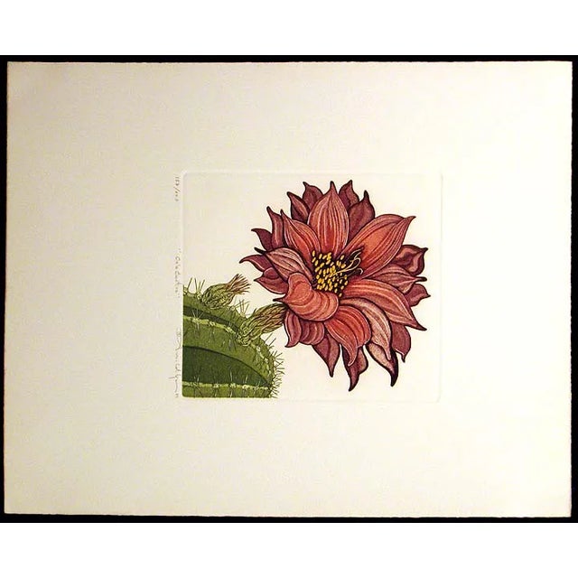 This beautiful etching by Arnold Iger, Cob Cactus, is one of five pieces from the Cactus Flowers Suite. The print is in...