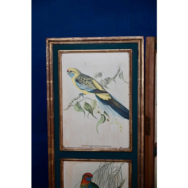 Victorian Screen with Birds and Roses, 1940s For Sale - Image 6 of 18