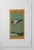 Late 20th century gouache on tan paper painting of a Bullfinch bird with text. Beautiful colors intricate details....