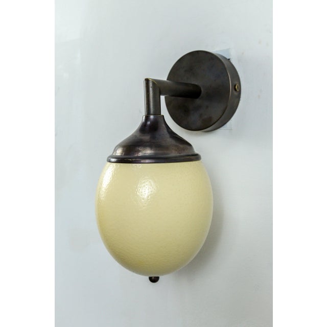 Ostrich Egg Cast Brass Arm Sconce For Sale - Image 4 of 11
