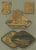 Paper Japanese Lacquer and Inlay Boxes, 1880s, Paper For Sale - Image 7 of 10