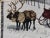 Vintage Winter Reindeer & Sleigh Woven Tapestry Throw With Fringe For Sale - Image 10 of 15