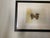 A dynamic mixed media oil paint, grease pencils, mineral spirits translucent paper surfaces like Mylar and vellum. Mary...