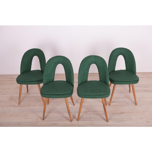 Mid-Century Modern Dining Chairs by Antonín Šuman for Tatra, 1960s, Set of 4 For Sale - Image 3 of 18