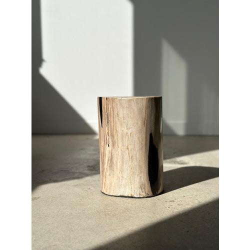 Side Table in White Petrified Wood with Black Spots For Sale - Image 11 of 18