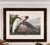 Early 21st Century Purple Heron Adult & Young – Princeton Audubon Limited Edition – Framed 37 X 47" – After John James Audubon For Sale - Image 5 of 5