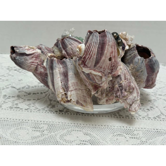 Gemstone Sculptural Seaside Barnacle Cluster Decor Accent For Sale - Image 7 of 11