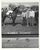 Boho Chic 1966 Winner's Circle Photograph of Maddie Bar Fly at Marble Downs For Sale - Image 3 of 3