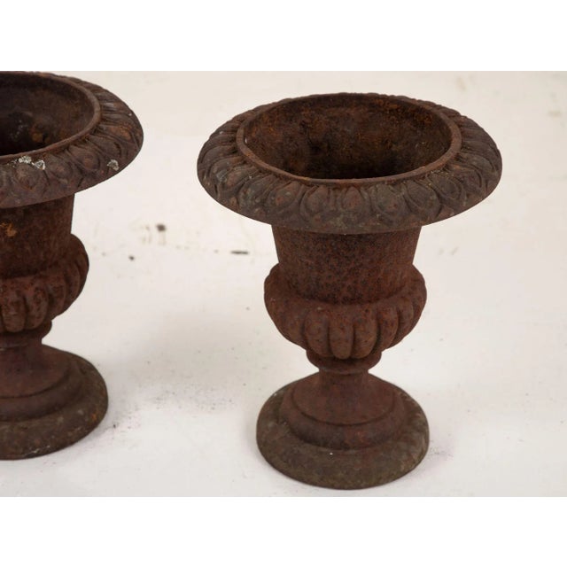 Pair of Cast Iron Urns, French 19th Century For Sale - Image 11 of 13