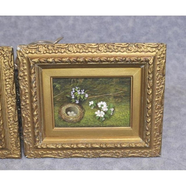 Victorian Artist, Easter Egg Nest & Spring Still Life, Oil Paintings, Set of 2 For Sale - Image 9 of 10