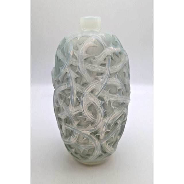 Opalescent Glass Ronces Cased Model 946 Vase from René Lalique, 1921 For Sale - Image 6 of 6