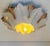 Flower Shell White Sand Ceramic Wall Light from Hustadt Keramik, Germany, 1970s For Sale - Image 3 of 13