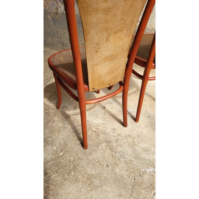 Wood Set of Art Nouveau Chairs by Michael Thonet, 1890s For Sale - Image 7 of 12