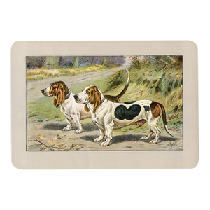 Basset Hound Dog Print, 1907, Antique Dog Print, Lithograph, France