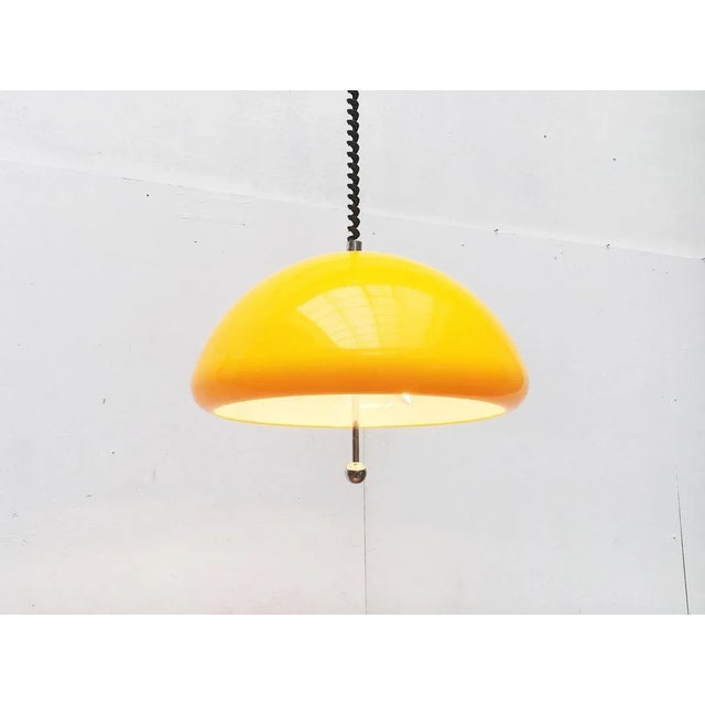 Metal Space Age Cabras Pendant Lamp by Luigi Massoni for Guzzini For Sale - Image 7 of 18